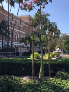 University of Southern California